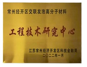 工程技術(shù)研究中心
